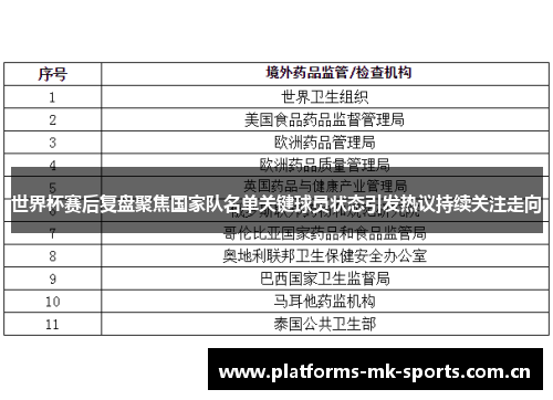 世界杯赛后复盘聚焦国家队名单关键球员状态引发热议持续关注走向
